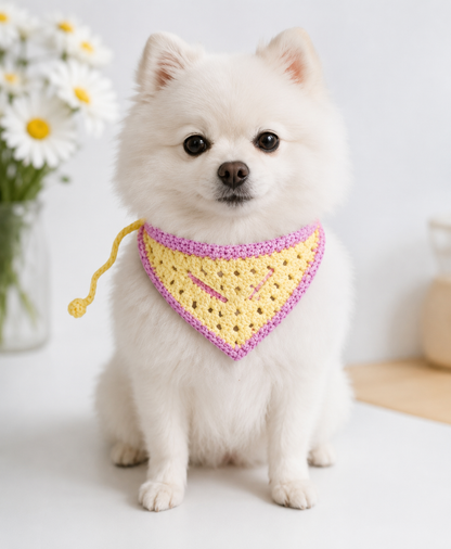 Bandana Tejida para Mascotas